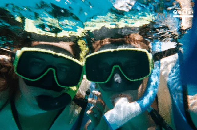 Grand Turk Snorkle