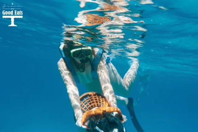 Grand Turk Underwater