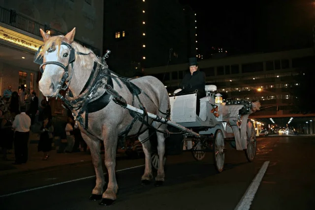 horse drawn carriage