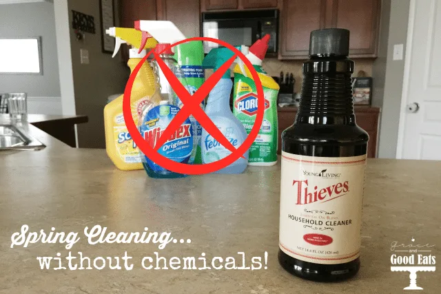 Free Printable: Top 12 Uses for Young Living Thieves Household Cleaner