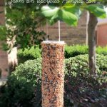 Make your own DIY Bird Seed Feeder from an upcycled Pringles can. My kids loved making this!