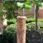 Make your own DIY Bird Seed Feeder from an upcycled Pringles can. My kids loved making this!