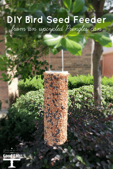 Make your own DIY Bird Seed Feeder from an upcycled Pringles can! Fun craft for kids!