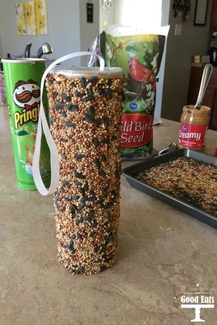 finished Pringles can covered in bird seed