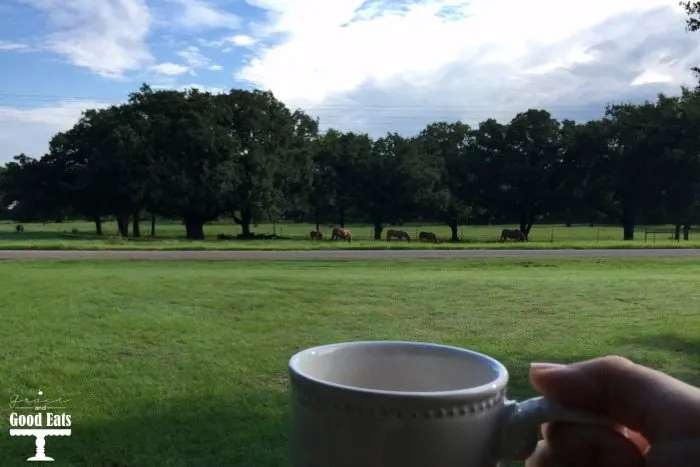 green pasture with horses and blue skies above