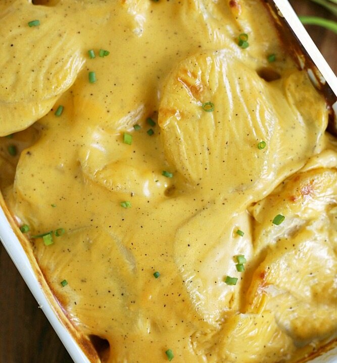 baking dish of scalloped potatoes covered in cheese and topped with green onions