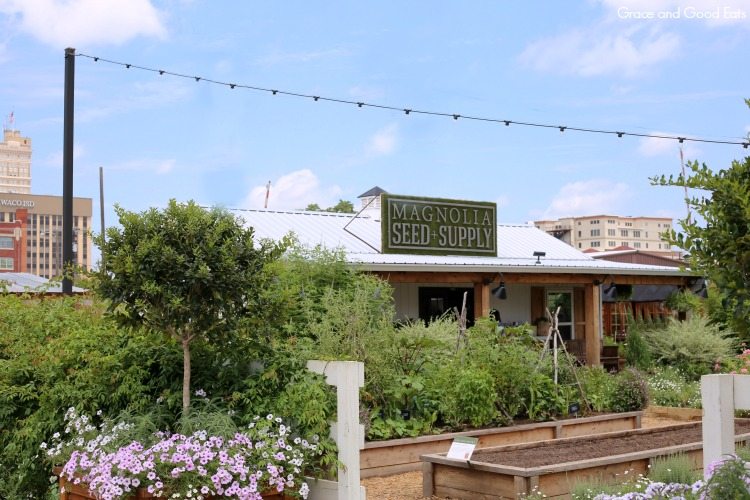 garden center at Magnolia Market