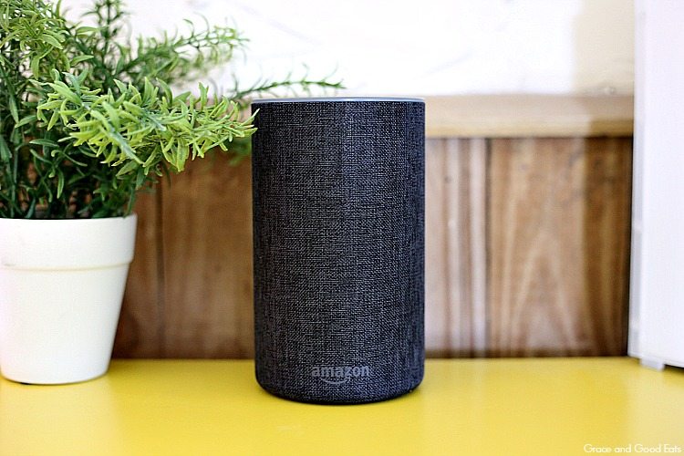 Alexa Skill Blueprints are easy to create and fun for the whole family.  We use our Echo for everything from setting our thermostat and robot vacuum, to quizzing with flashcards, and spontaneous pre-bedtime dance parties.