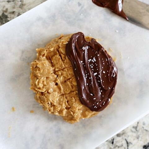peanut butter oatmeal cookie dipped in chocolate