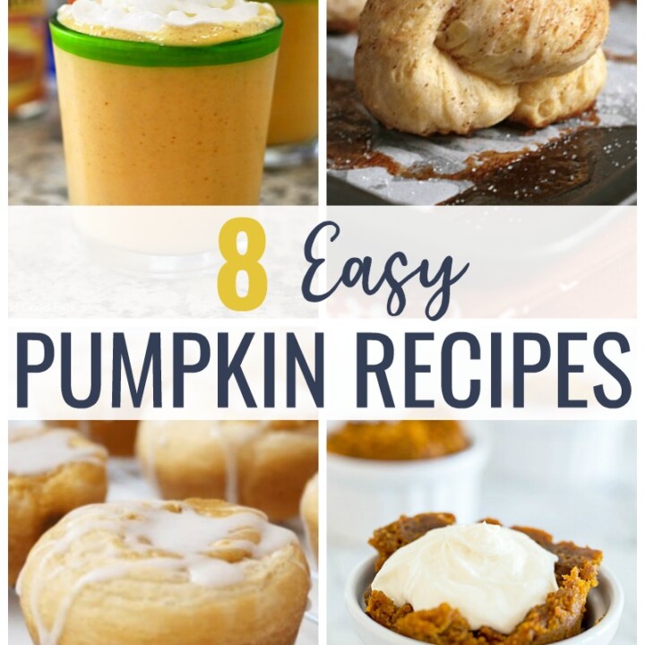 These Easy Pumpkin Recipes are sure to put you in the mood for fall and satisfy any pumpkin spice craving!