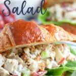 Chicken Salad recipe with grapes, apples, celery, and pecans that comes together quickly for a filling lunch or snack.  Deliciously crunchy and creamy, this chicken salad recipe can be served with bread, croissants, or lettuce wraps.