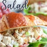 Chicken Salad recipe with grapes, apples, celery, and pecans that comes together quickly for a filling lunch or snack.  Deliciously crunchy and creamy, this chicken salad recipe can be served with bread, croissants, or lettuce wraps.