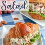 Chicken Salad recipe with grapes, apples, celery, and pecans that comes together quickly for a filling lunch or snack.  Deliciously crunchy and creamy, this chicken salad recipe can be served with bread, croissants, or lettuce wraps.