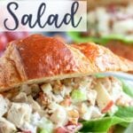 Chicken Salad recipe with grapes, apples, celery, and pecans that comes together quickly for a filling lunch or snack.  Deliciously crunchy and creamy, this chicken salad recipe can be served with bread, croissants, or lettuce wraps.