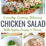 Chicken Salad recipe with grapes, apples, celery, and pecans that comes together quickly for a filling lunch or snack.  Deliciously crunchy and creamy, this chicken salad recipe can be served with bread, croissants, or lettuce wraps.