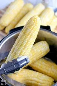 holding an ear of corn with metal tongs