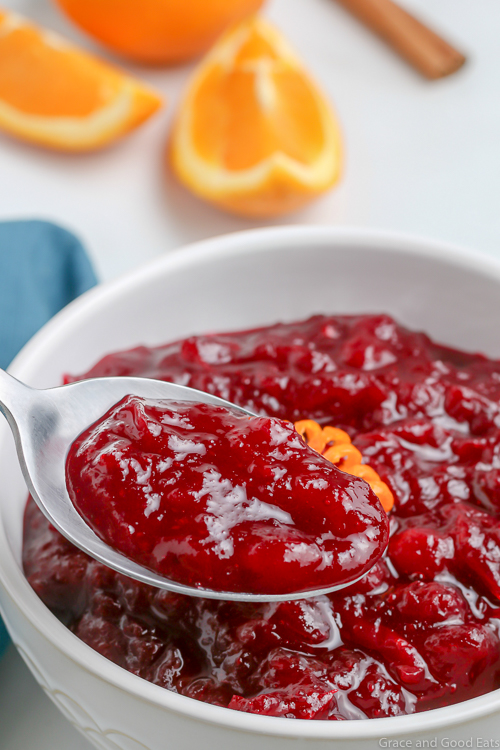 spoonful of fresh cranberry sauce above a bowl