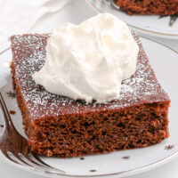 white plate with silver stars and a slice of gingerbread cake