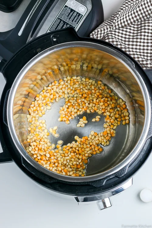 popcorn kernels in an Instant Pot