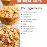 Cinnamon Apple Oatmeal Cups made with old-fashioned oats, diced apples, and yummy spices. This grab-and-go breakfast is a delicious fall treat.